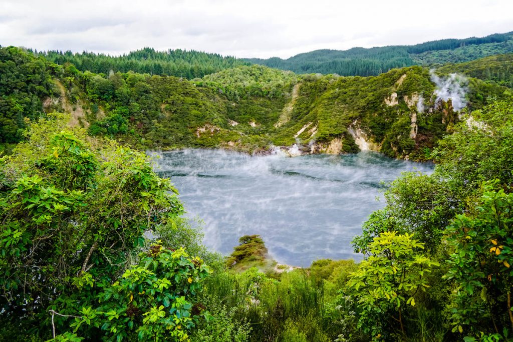 10 Fun Things To Do In Rotorua | Cultural Experiences, Wildlife And Hot Springs! 🇳🇿