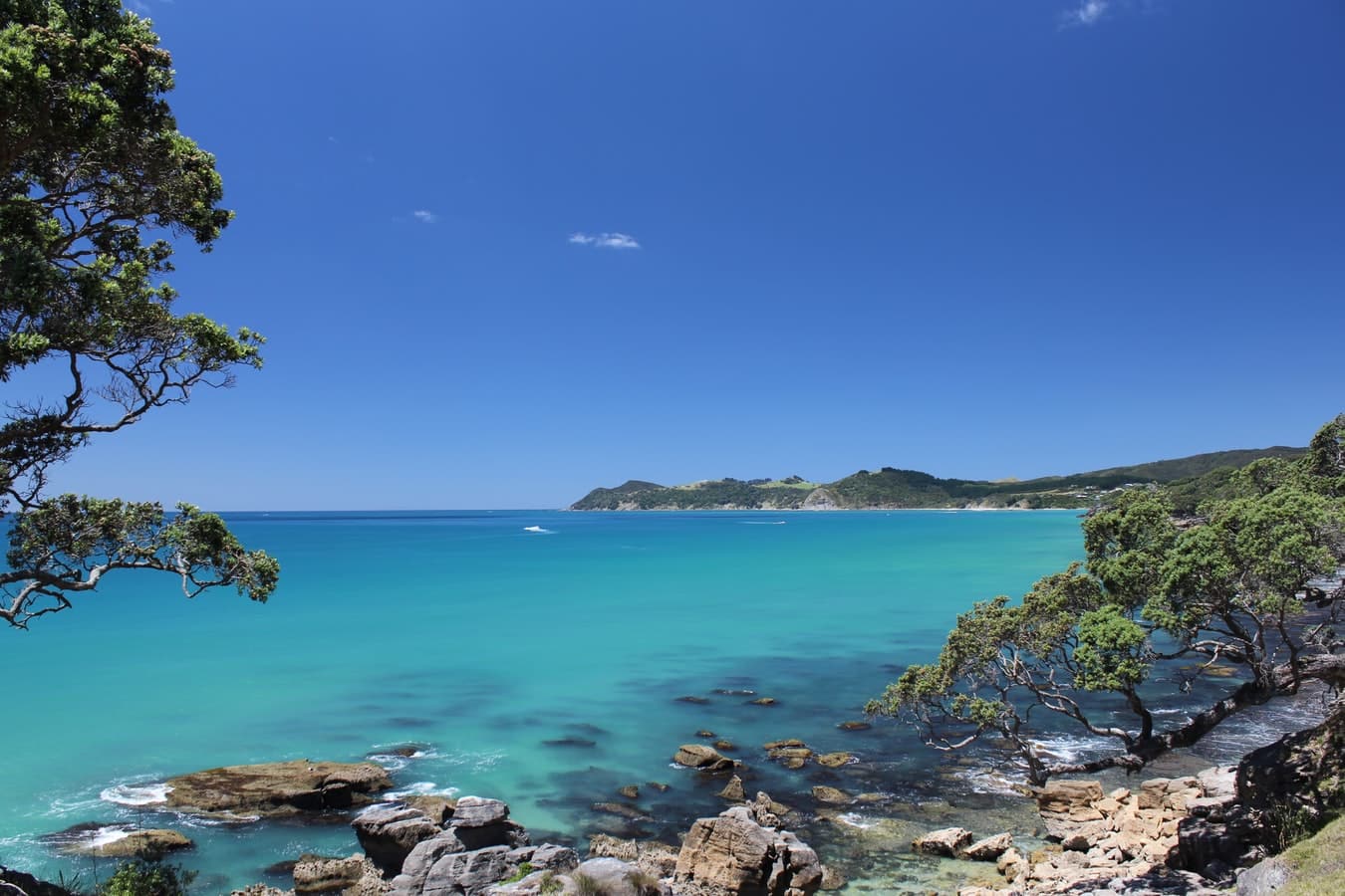 6 Northland Roadtrip Inspirational Itineraries To Try In New Zealand This Summer!