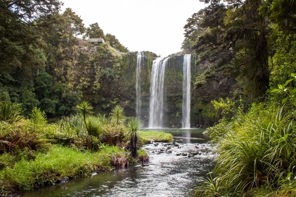 6 Northland Roadtrip Inspirational Itineraries To Try In New Zealand This Summer!