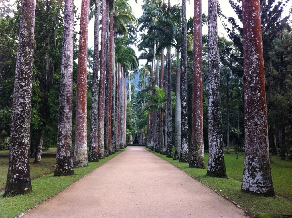 Jardim Botanico do Rio