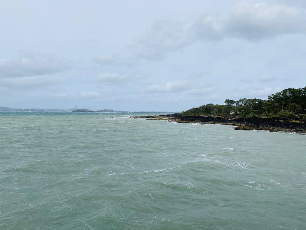 rangitoto island volcano