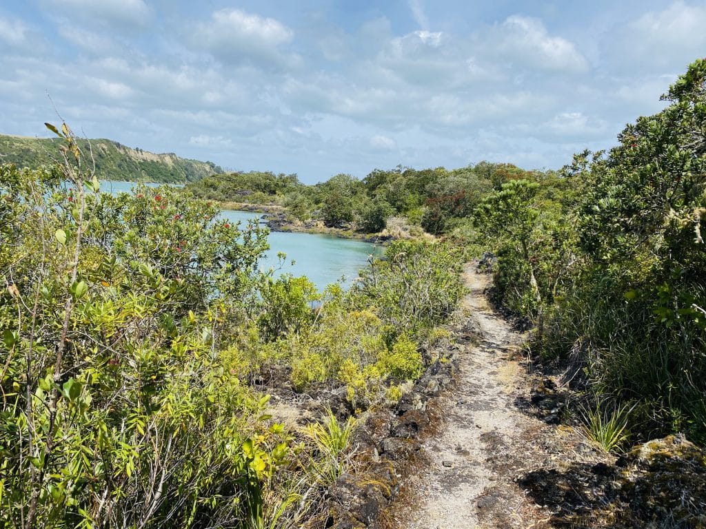 rrangitoto history