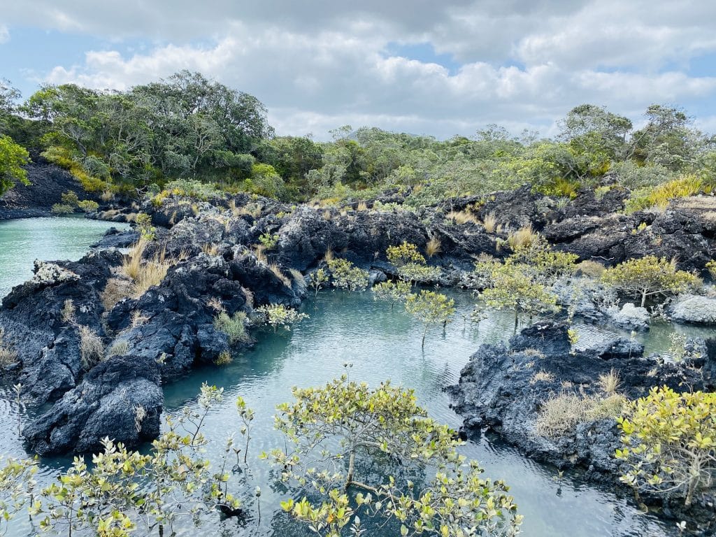 rangitoto island volcano