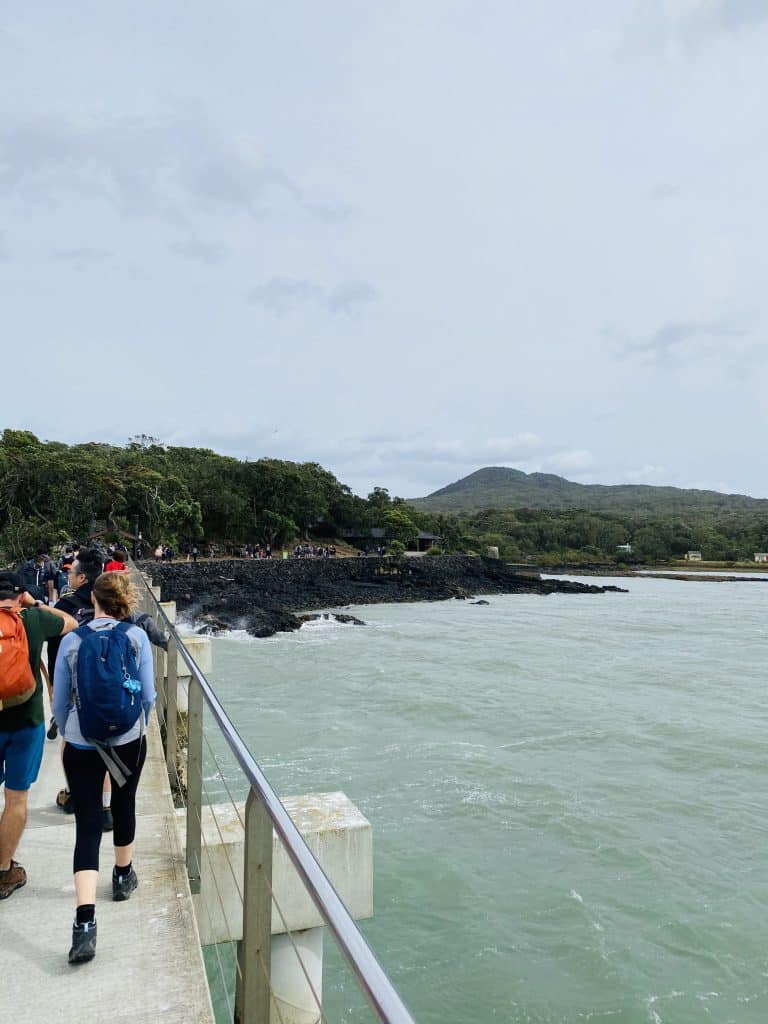 rangitoto island volcano