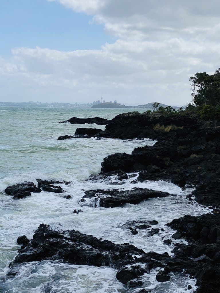 rangitoto island day trip