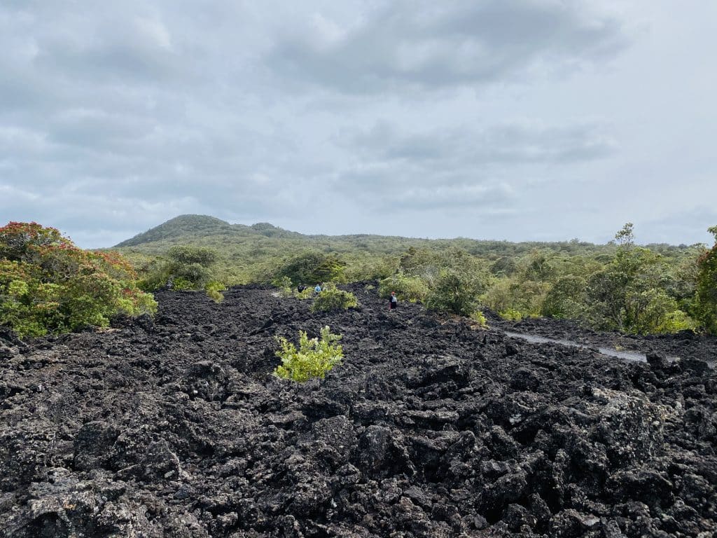 rrangitoto walk