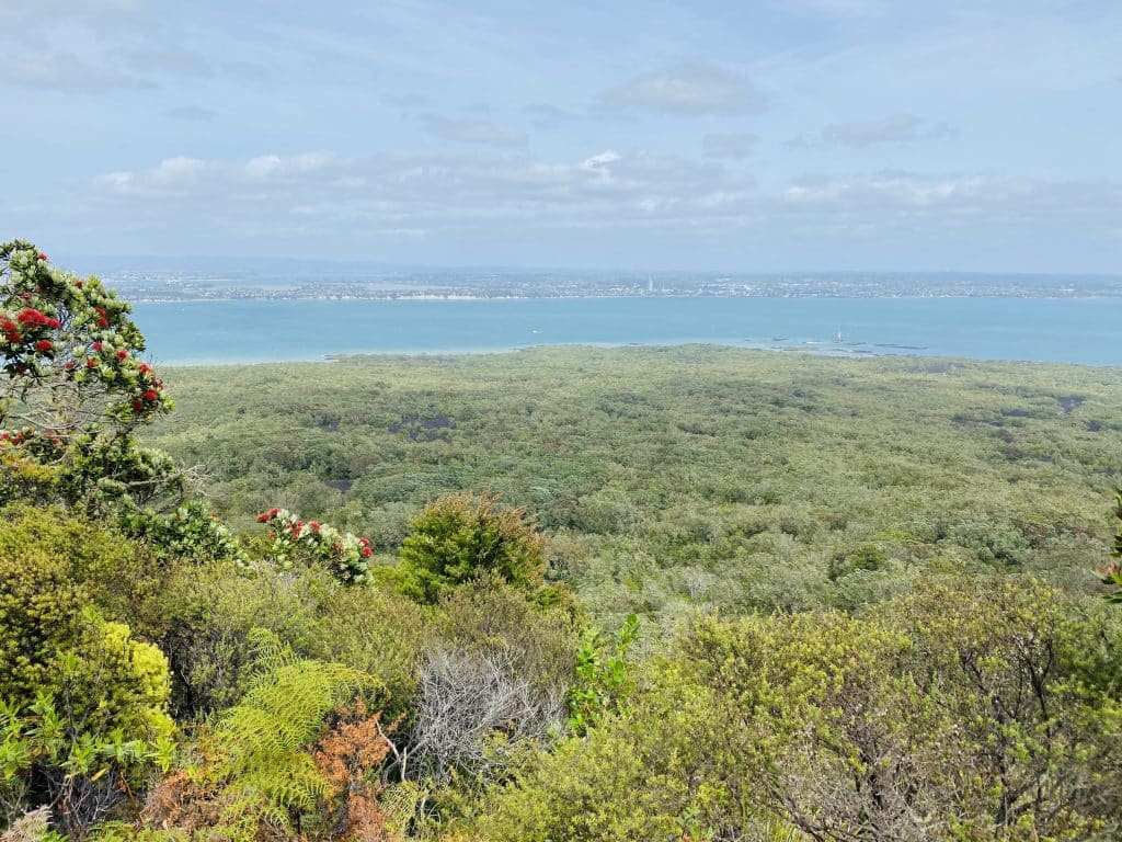 rrangitoto history