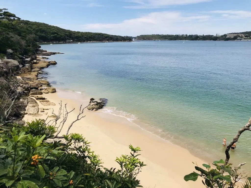 Spit To Manly Walk | Sydney Underrated hikes