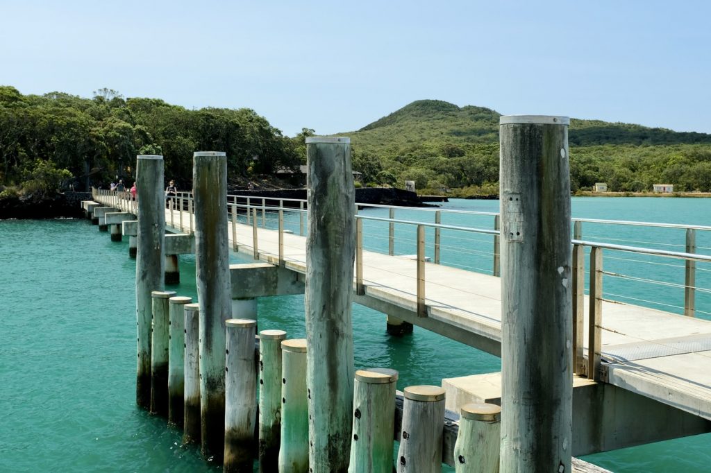 rangitoto Island auckland day trip