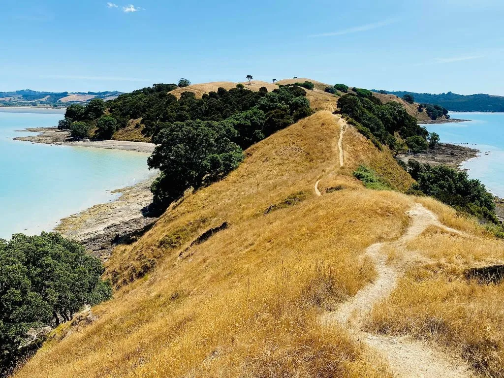 Duder Regional Park | Day Trips From Auckland