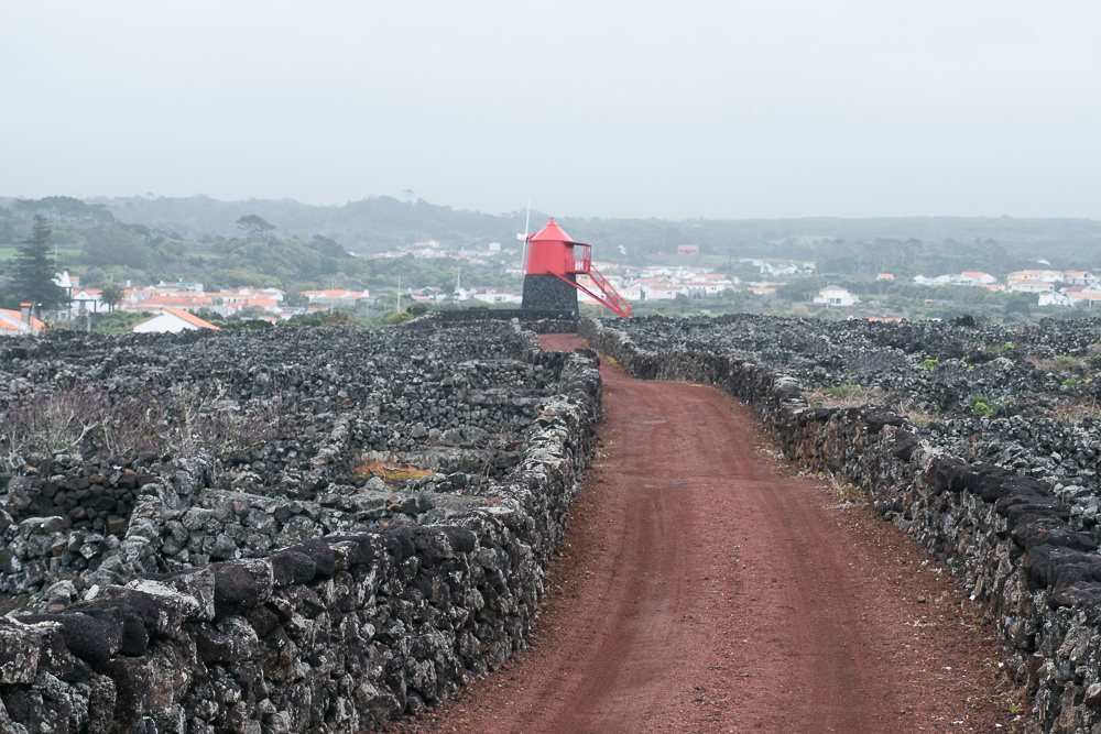 Landscape of the Pico Island Vineyard Culture