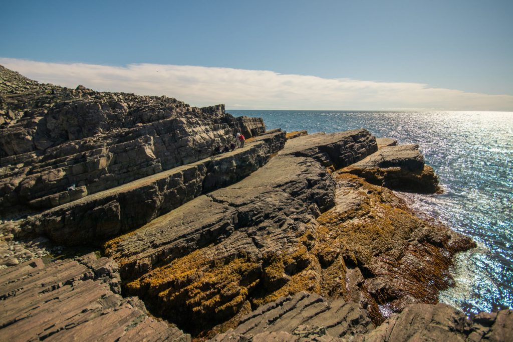 Mistaken Point Canada UNESCO World Heritage Site