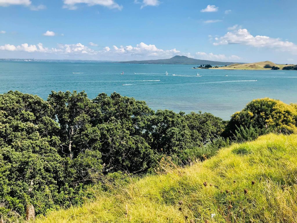Musick Point | Cheap Things To Do In Auckland New Zealand