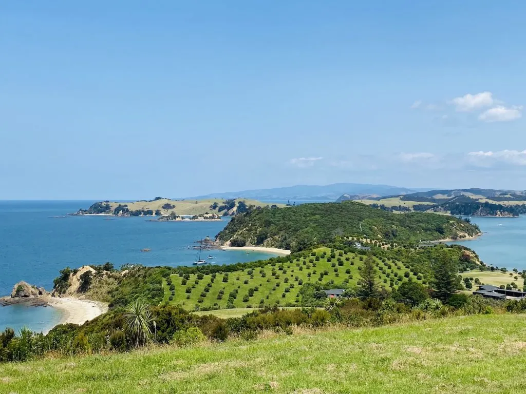 Rotoroa Island - hauraki gulf islands