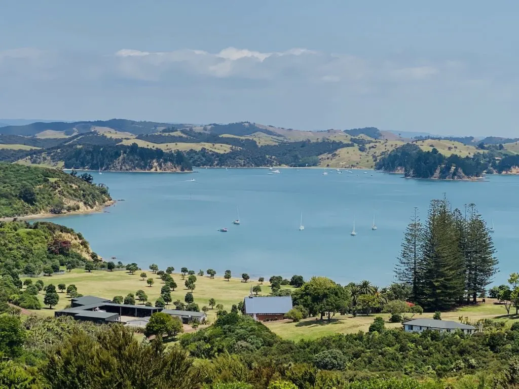 Rotoroa Island Day Trip: A Hidden Gem In Auckland's Hauraki Gulf! 