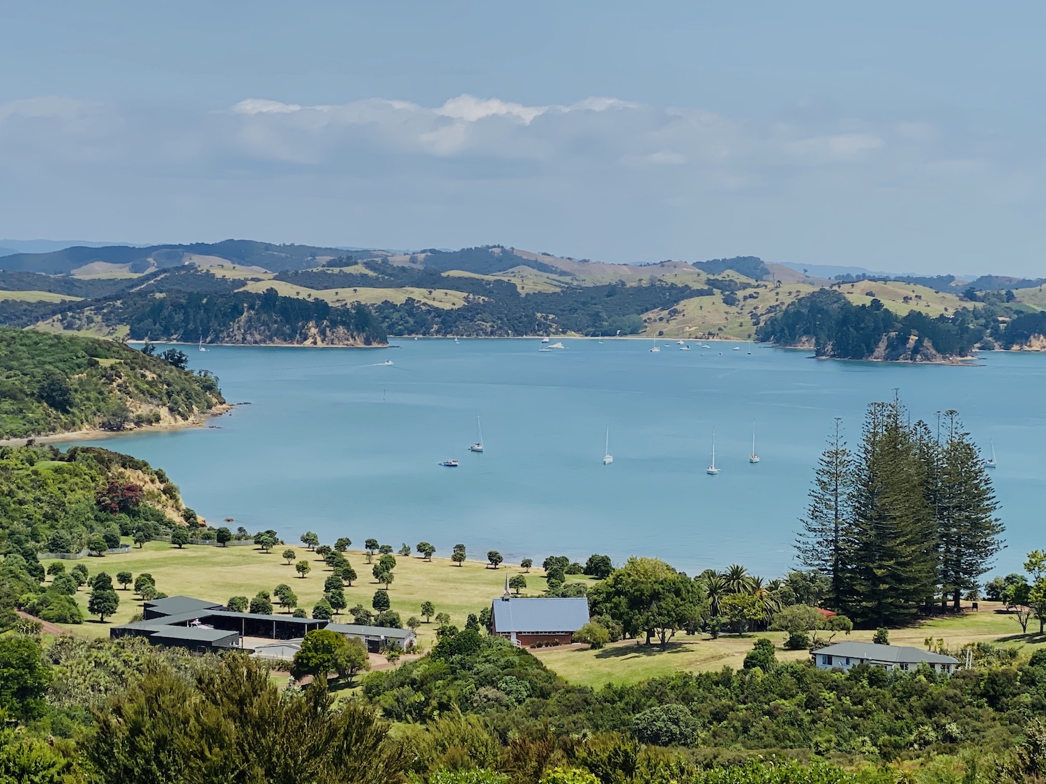 Rotoroa Island Day Trip: A Hidden Gem In Auckland's Hauraki Gulf! 量