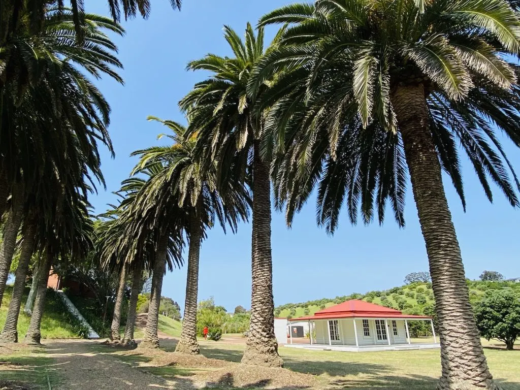 Rotoroa Island Day Trip: A Hidden Gem In Auckland's Hauraki Gulf! 