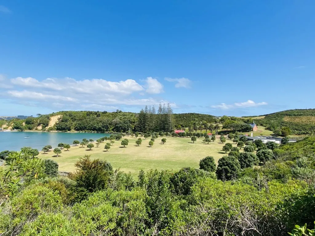 Rotoroa Island Day Trip: A Hidden Gem In Auckland's Hauraki Gulf! 