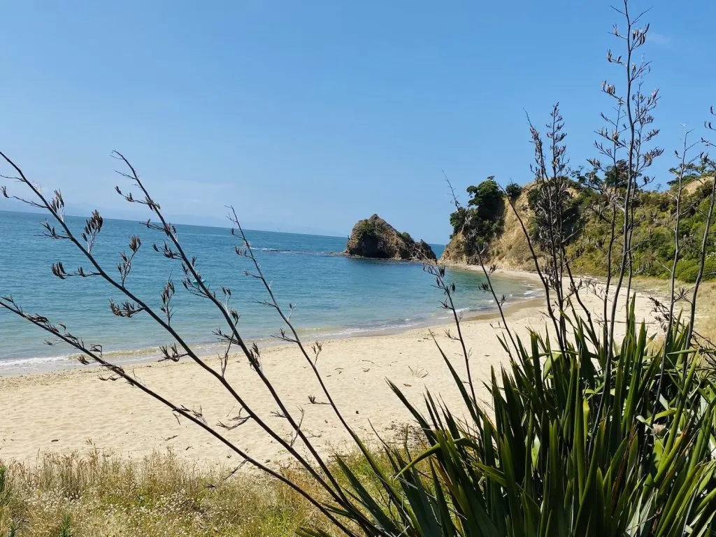 Rotoroa Island - hauraki gulf islands