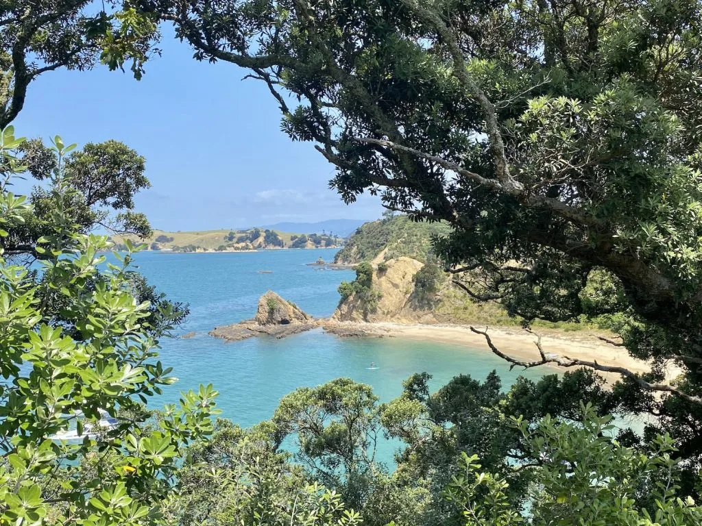 Rotoroa Island Day Trip: A Hidden Gem In Auckland's Hauraki Gulf! 