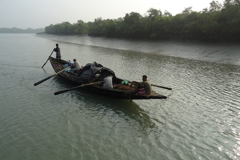 A Guide To The 3 UNESCO World Heritage Sites In Bangladesh   Sunderbans Natural UNESCO World Heritage Site In Bangladesh 3 768x512 