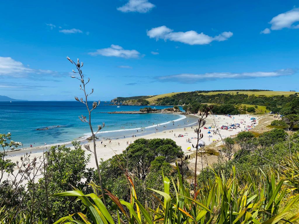 Tāwharanui Regional Park | what to see in auckland new zealand