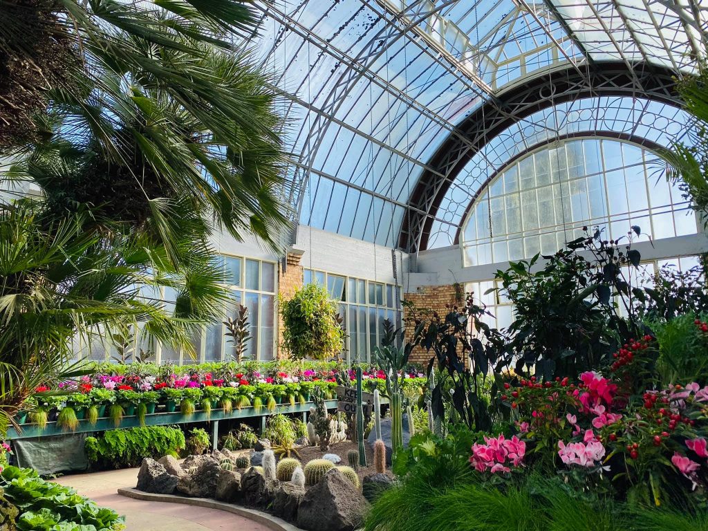 Wintergardens | Things To Do In Auckland New Zealand