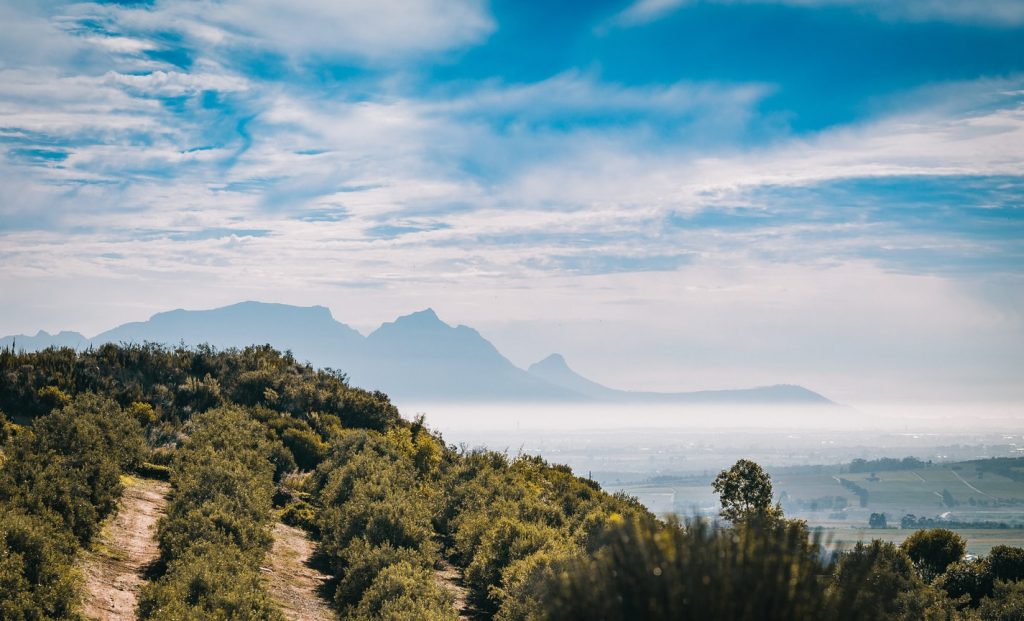 Early Farmsteads of the Cape Winelands | Early Farmsteads of the Cape Winelands - Stellenbosch South Africa