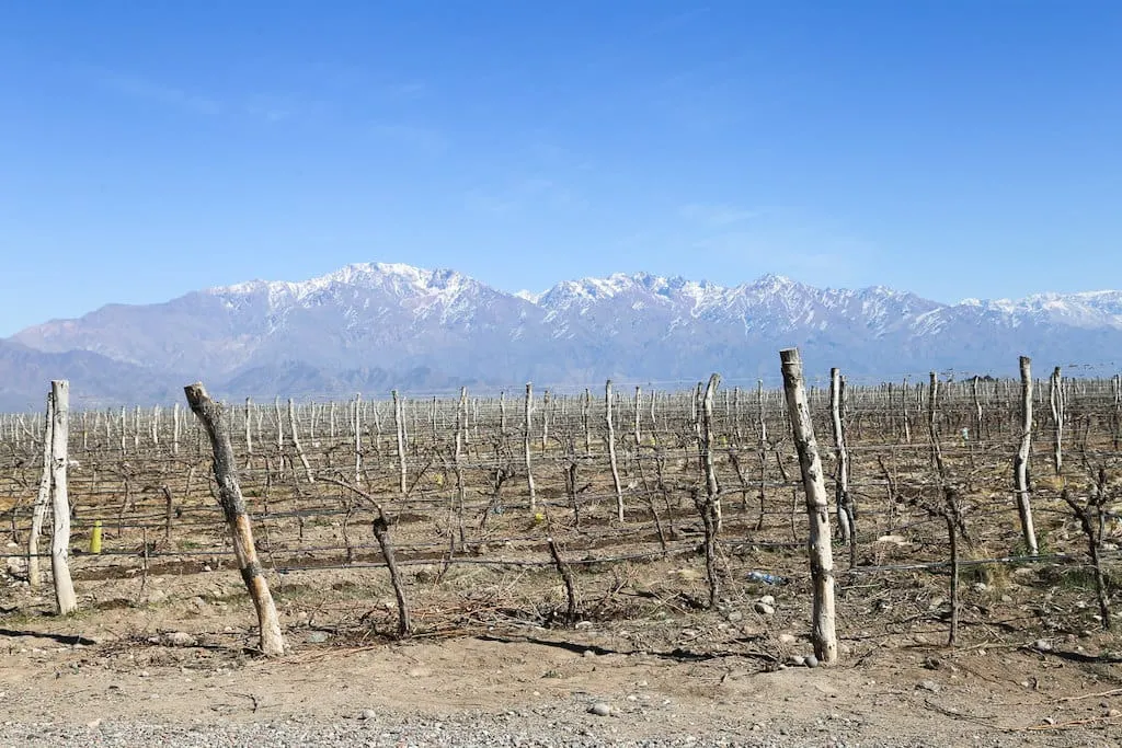 Mendoza's Wineries | places to visit in argentina