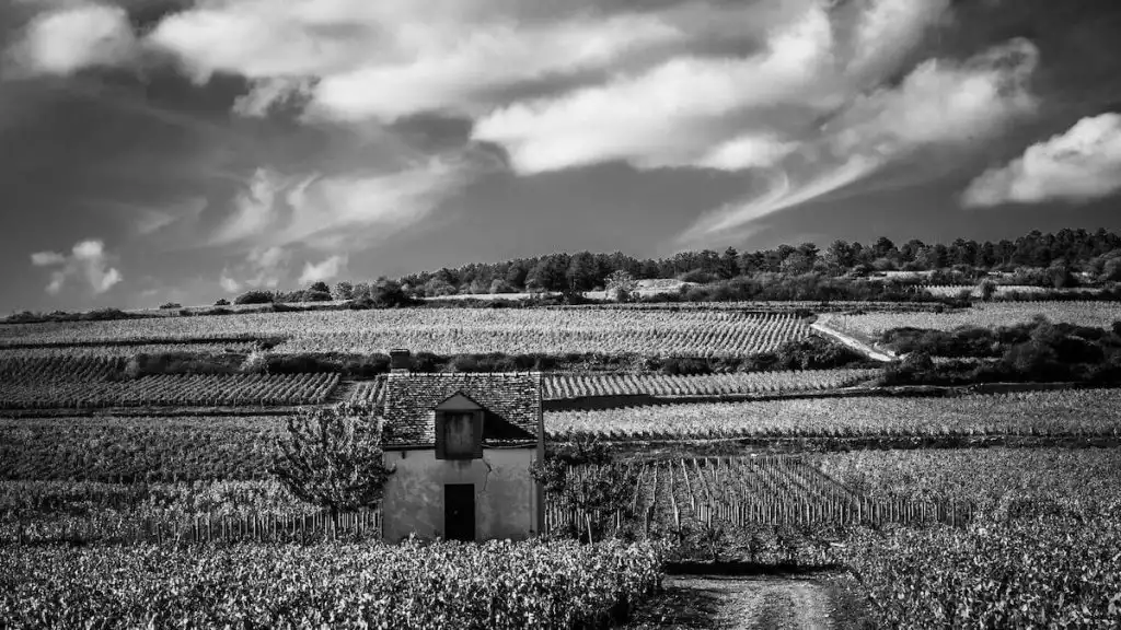 The Climats, terroirs of Burgundy