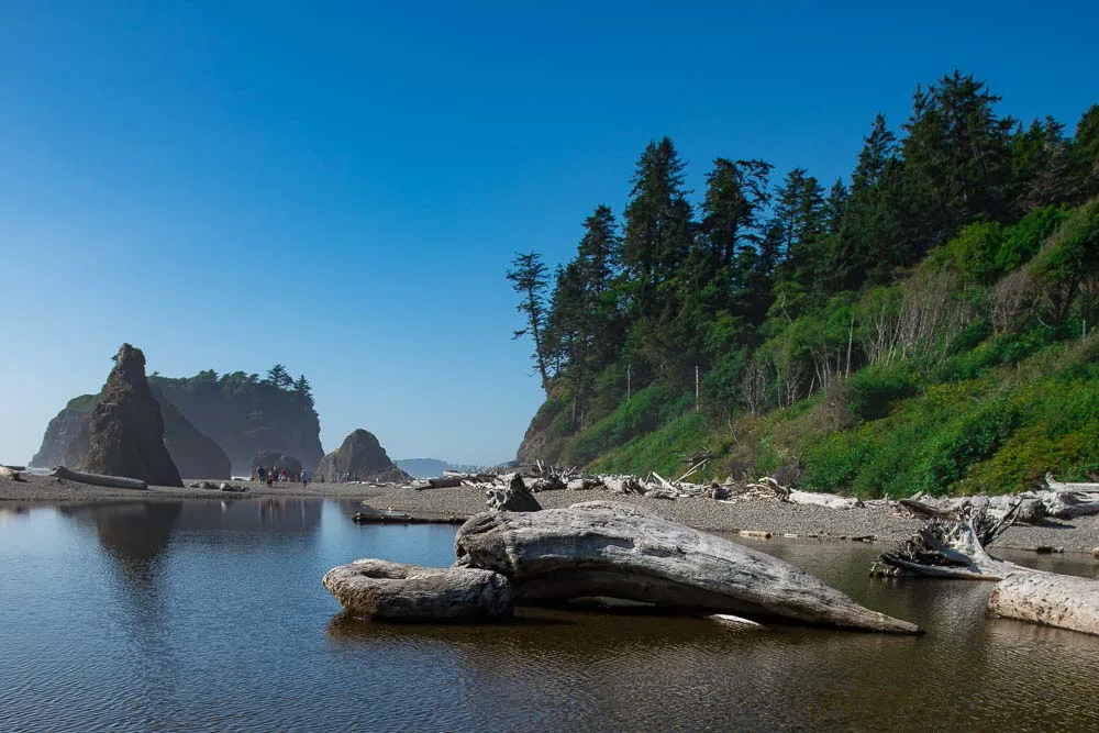 USA Washington Olympic National Park Ruby Beach