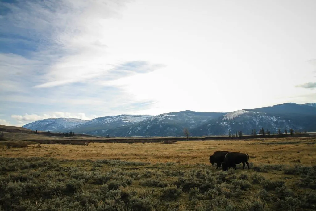 Yellowstone National Park | us unesco world heritage sites