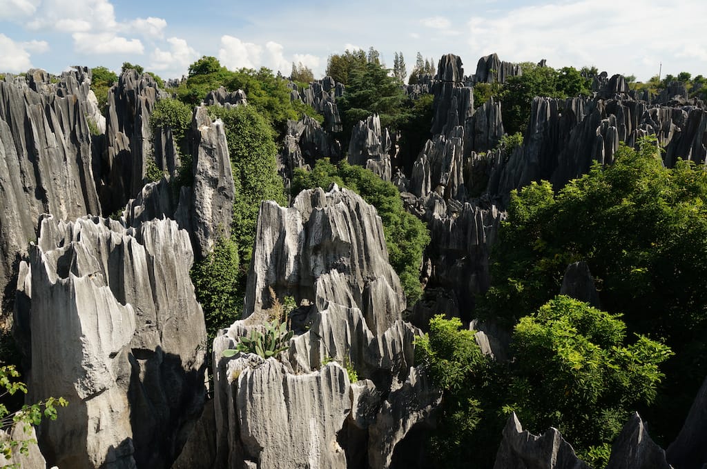 Kunming Stone Forest - Iconic Landmark Of China