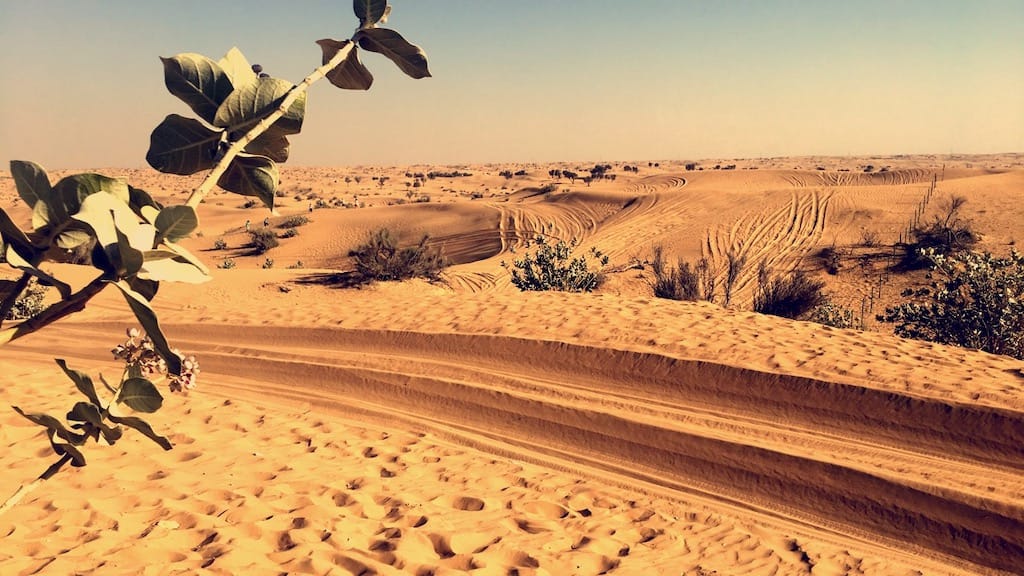 famous landmarks in uae - Al Qudra Desert