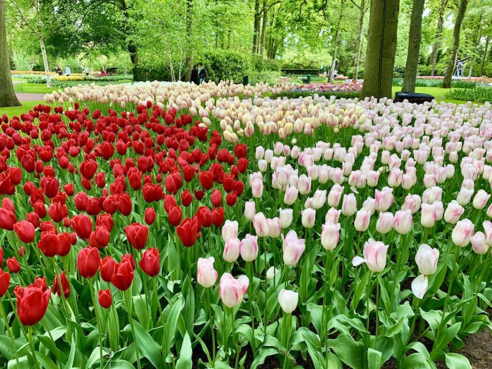 25 Famous Landmarks Of The Netherlands To Plan Your Travels Around!