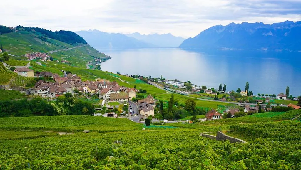 Famous Swiss Landmarks - Lavaux, Vineyard Terraces