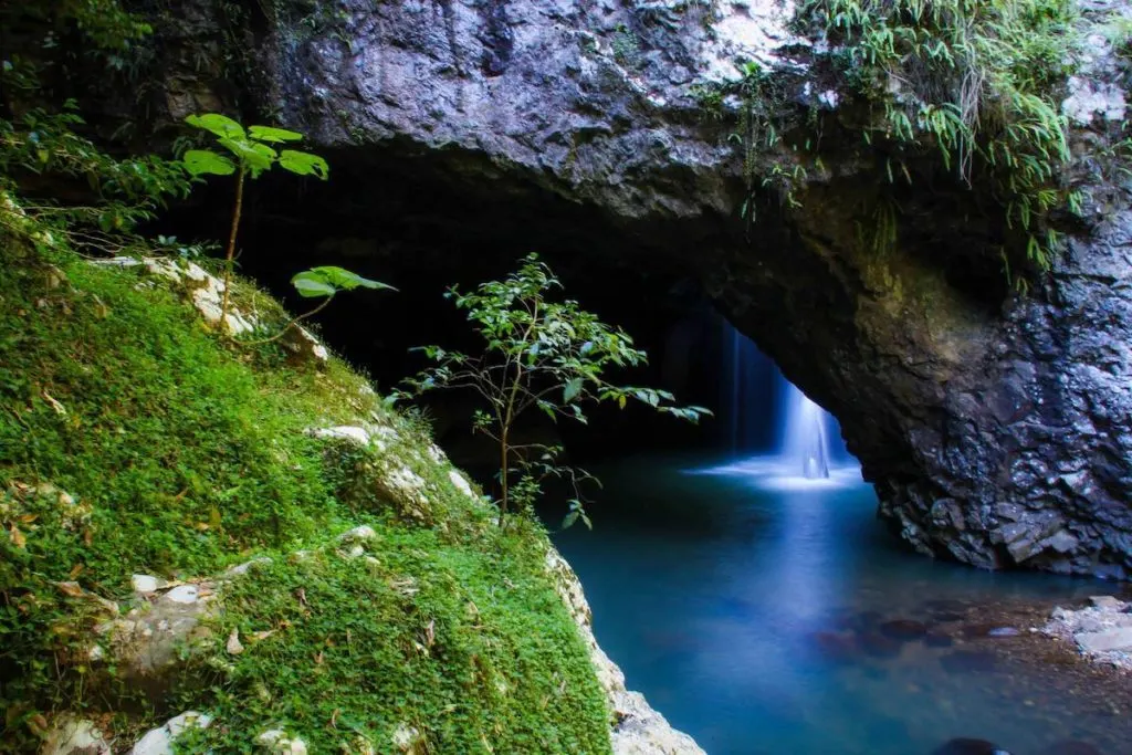 Springbrook National Park- must do brisbane