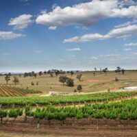 The Ultimate Hunter Valley Travel Bucket List 2