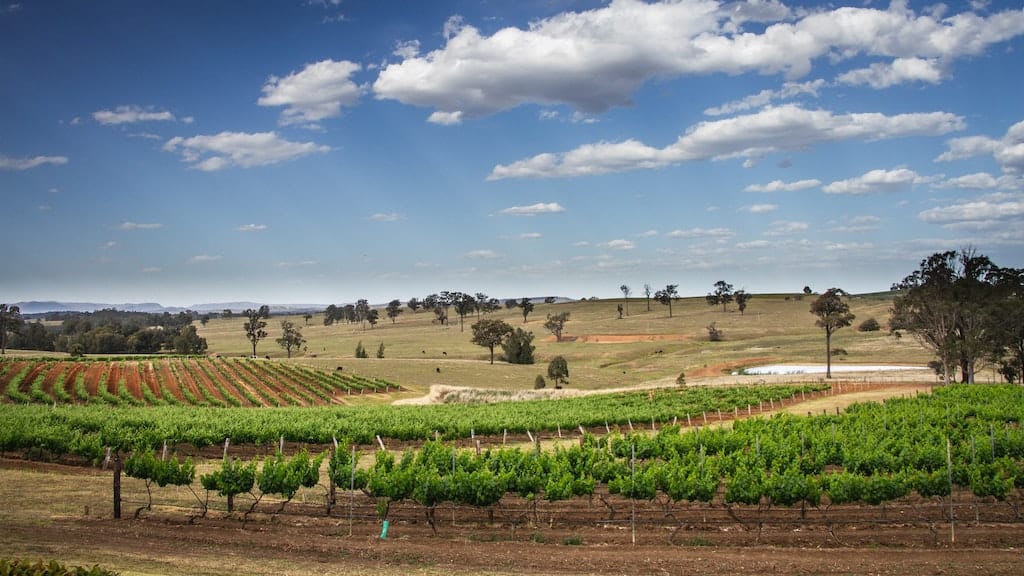 The Ultimate Hunter Valley Travel Bucket List!
