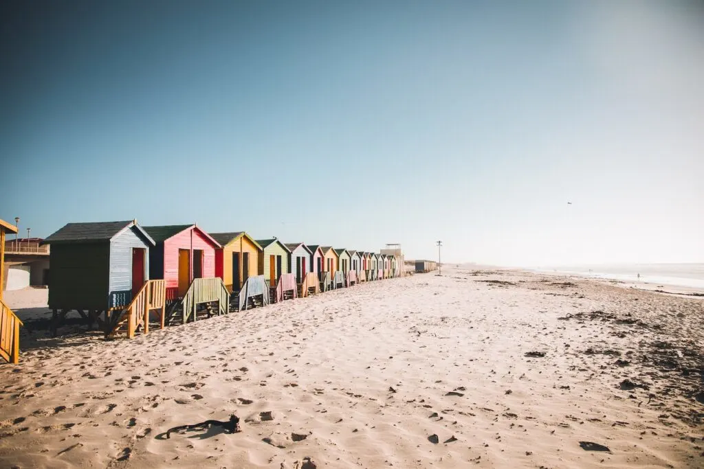 Learn To Surf In The Waves Of Muizenberg