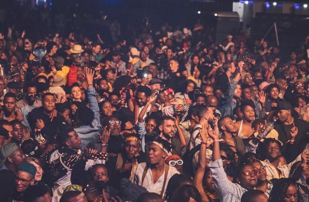 AFROPUNK Festival - Best Music Festivals in the United States