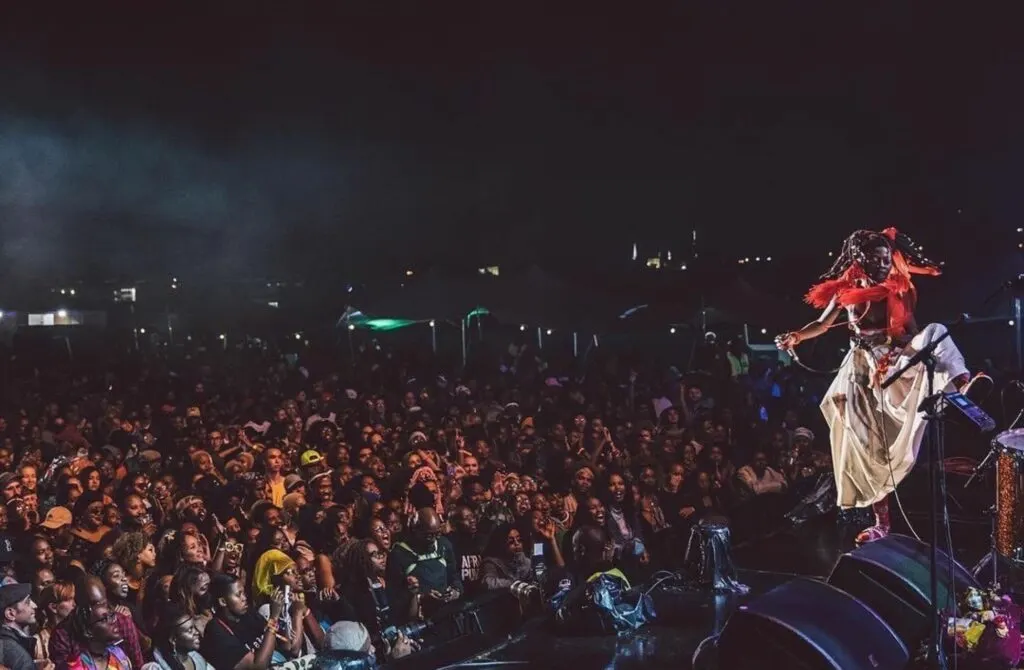 AFROPUNK Festival - Best Music Festivals in the United States