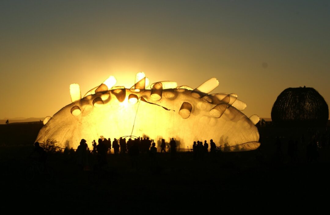 15 Best Music Festivals In South Africa: Unmissable Rhythmic Adventures