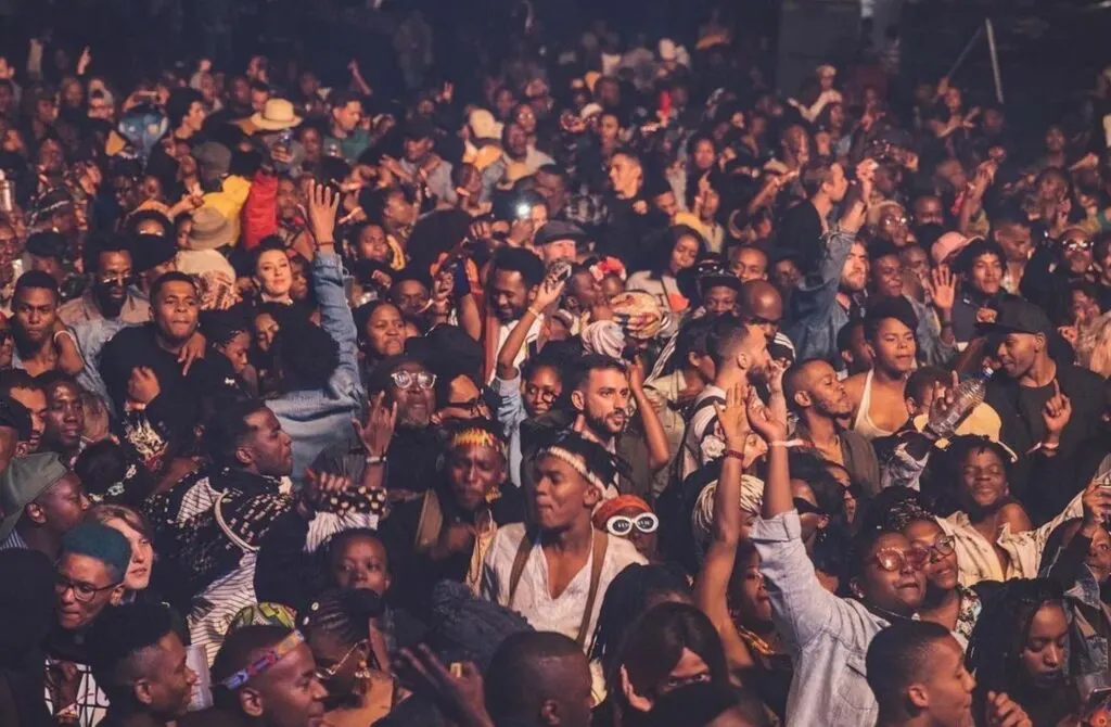 Afropunk - Best Music Festivals in South Africa