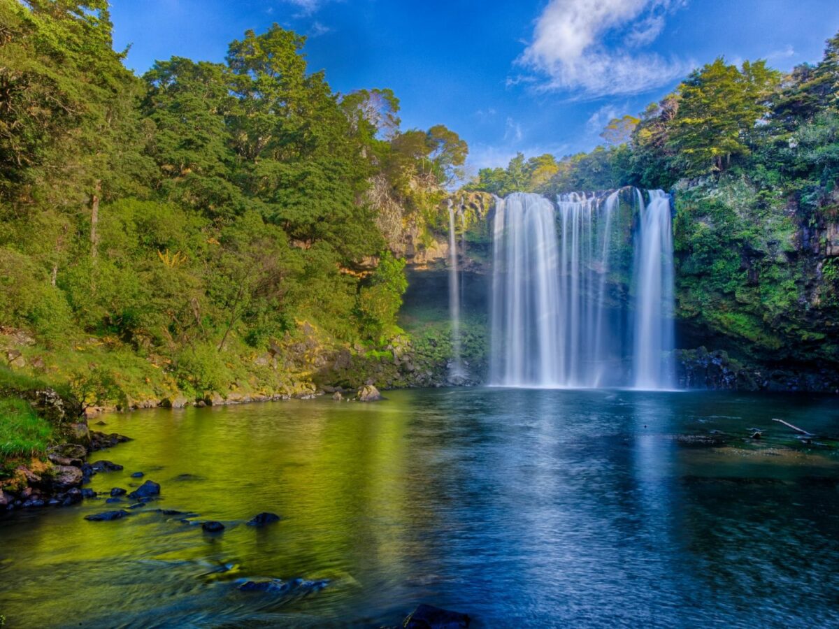 The Best Kerikeri Options To Suit All Tastes!