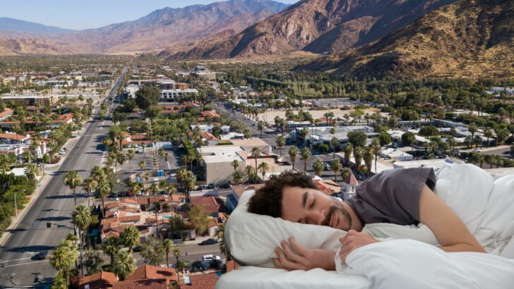 The 17 Best Hotels In Palm Springs: Top Cozy Stays For A Perfect Getaway