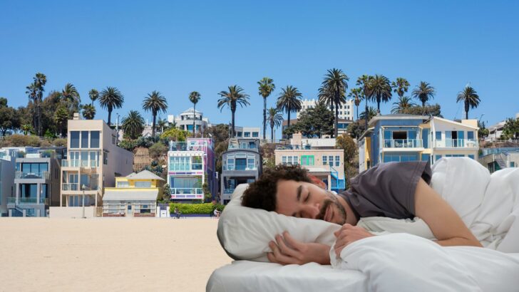 The 12 Best Hotels In Santa Monica: Top Beachside Escapes To Discover!