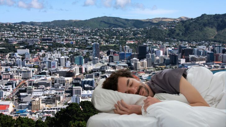 The 14 Best Hotels In Wellington: Top Picks For An Unforgettable Stay!