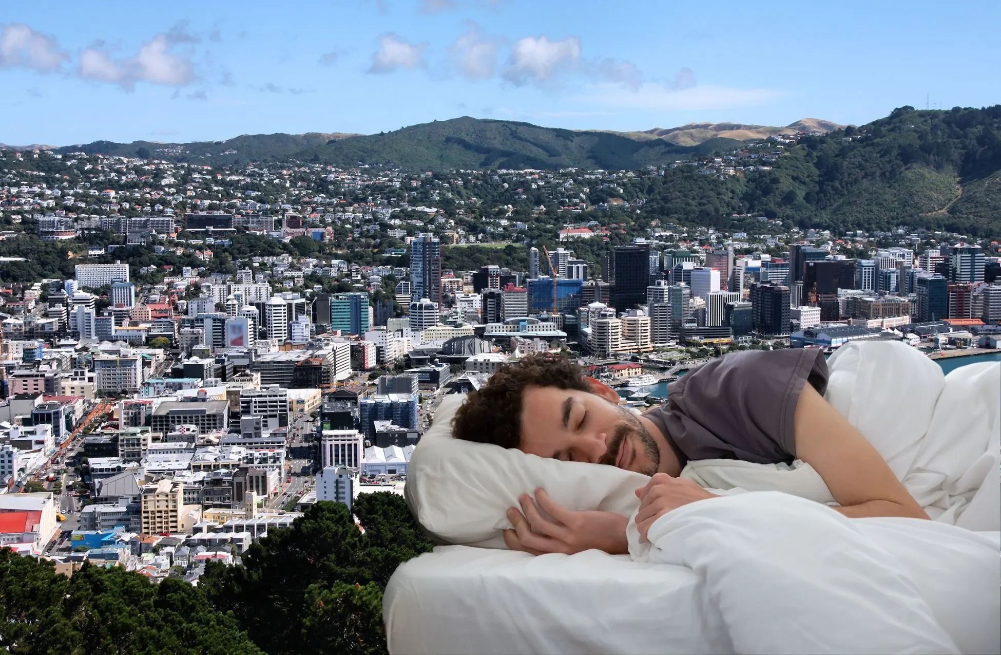 Best Hotels In Wellington: Top Picks For An Unforgettable Stay