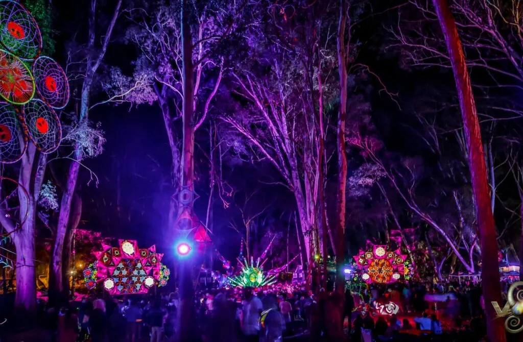 Best Music Festivals in South Africa